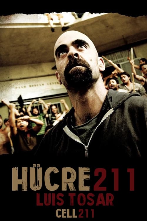 Hücre 211