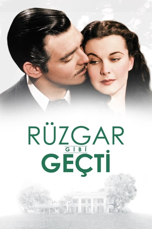 Rüzgar Gibi Geçti