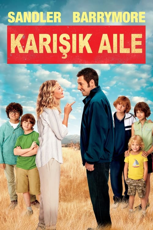 Karışık Aile