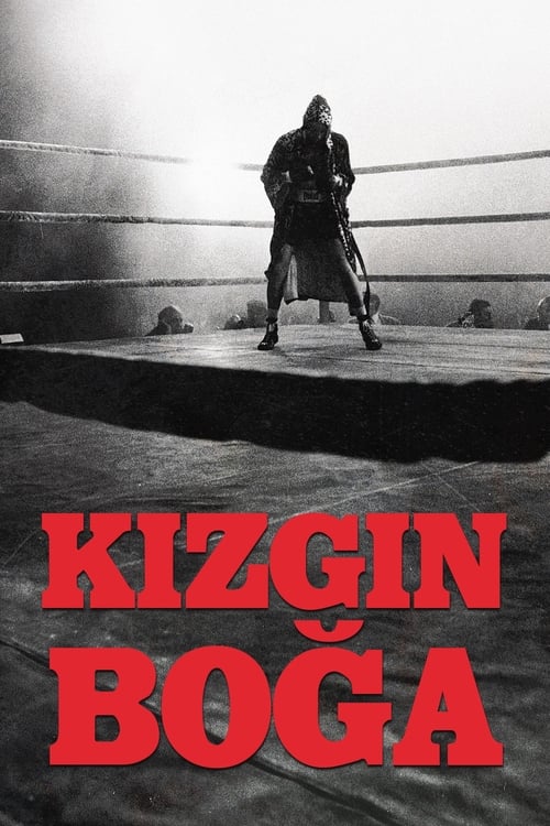 Kızgın Boğa