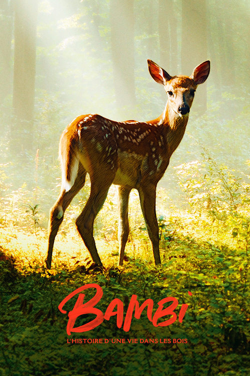 Bambi, l’histoire d’une vie dans les bois